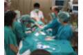 Medicina Intensiva - imagen 1