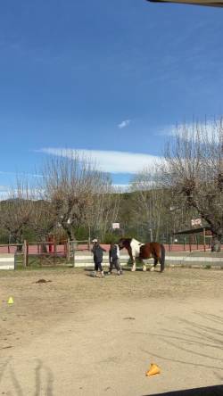 Granja-Ability-Training-Center-terapia-trastornos-salud-mental