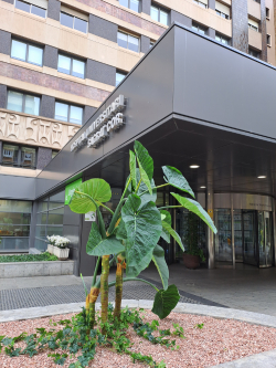 HUSC entrada