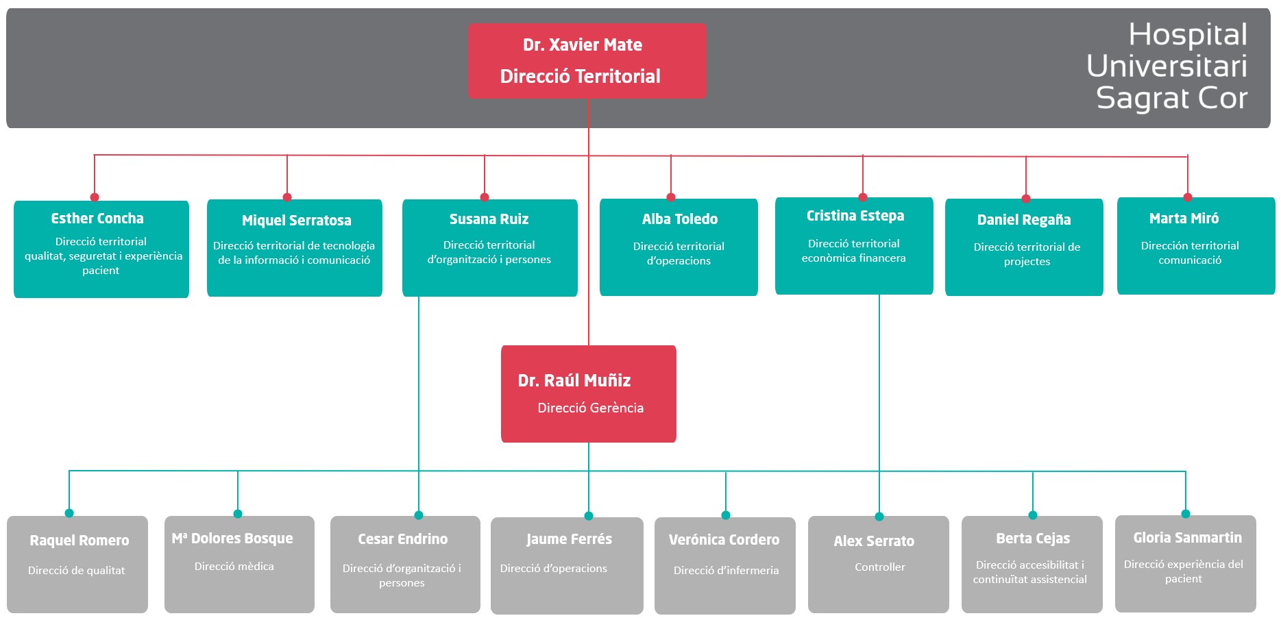 organigrama husc cat