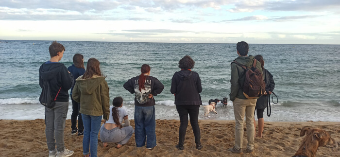 HUSC perros como terapia para los trastornos de salud mental