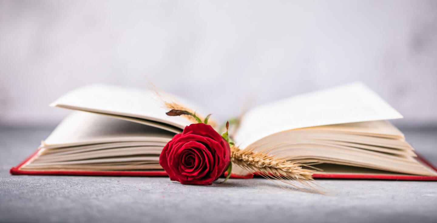 Sant Jordi HUSC